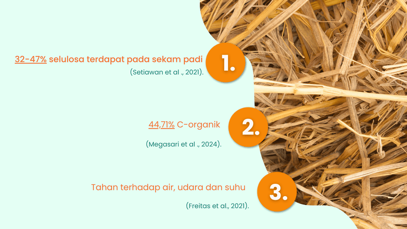 Fasilitas produksi Aloeveil